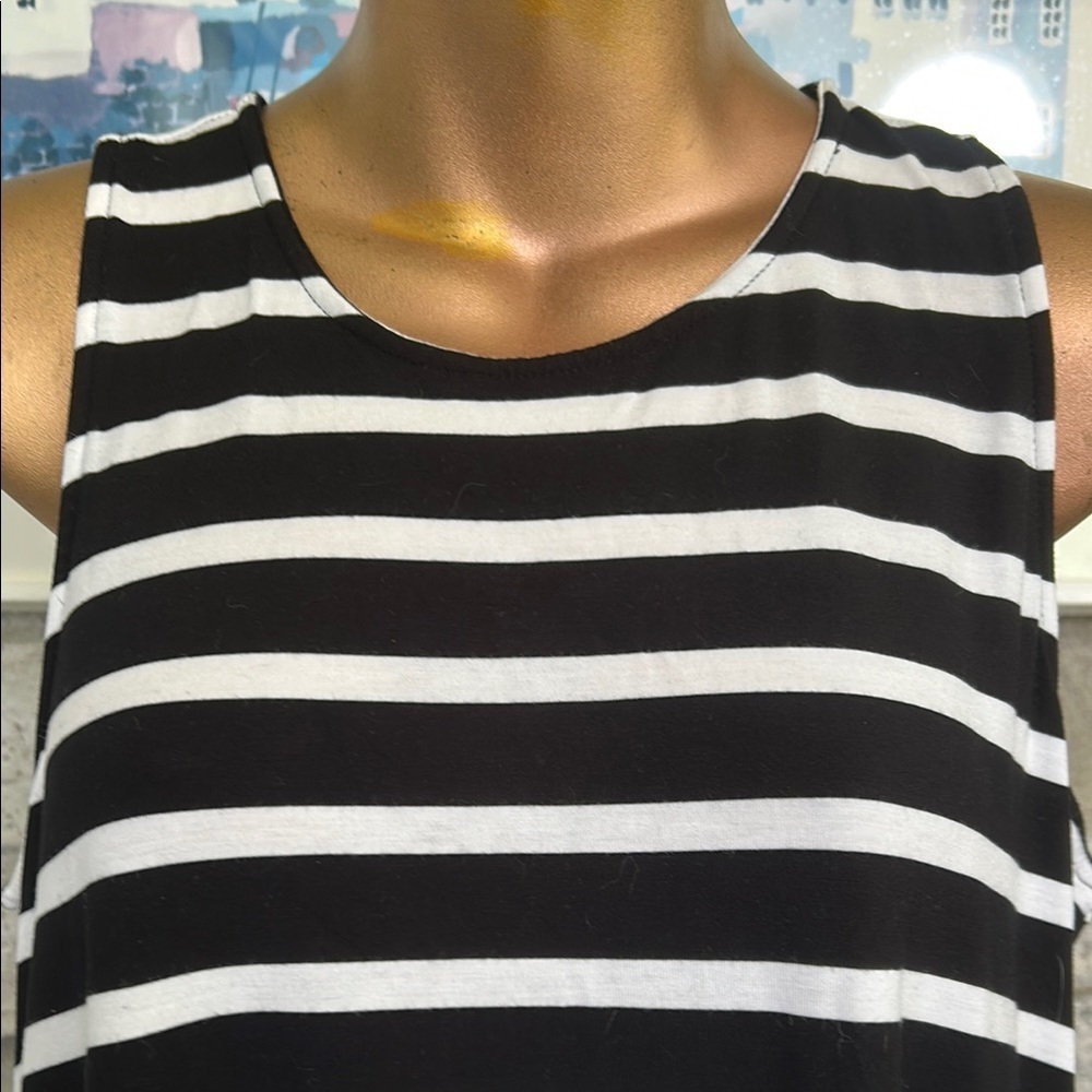 Striped Swing Dress - Picture 3 of 6